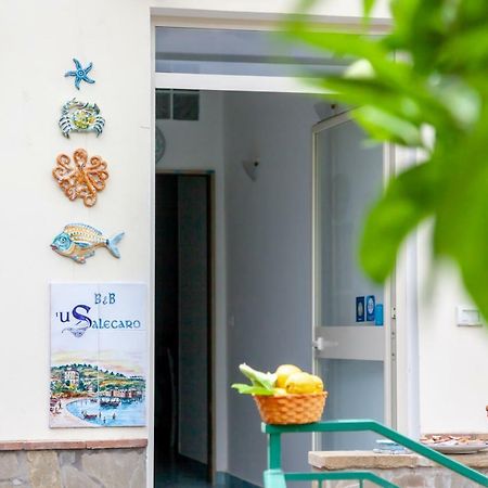 Bed and Breakfast 'U Salecaro Agropoli Exterior foto